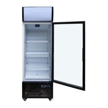 Preview: Getränkekühlschrank mit Display, Inhalt 270 Liter
